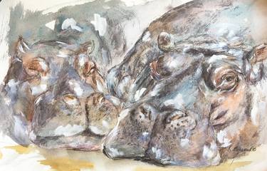illustrative impressionist wildlife hippo - After dinner nap thumb