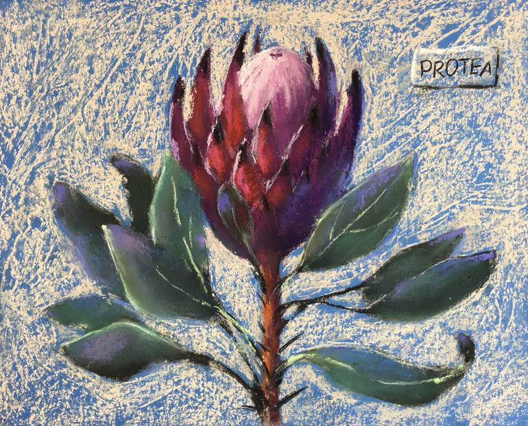 Buy Pastel Protea I Photo Art Print