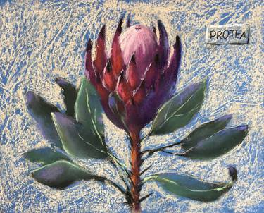 PROTEA - FLORAL ART FLOWERS - DECORATIVE PASTEL DRAWING thumb