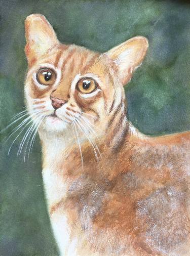 Print of Realism Animal Paintings by Ksenia Lutsenko