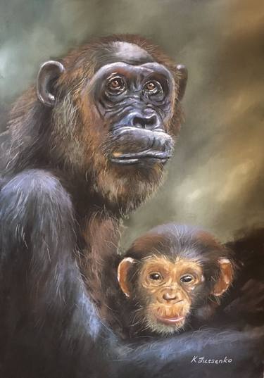 CHIMPANZEES IN THE FOREST - REALISM WILDLIFE MONKEY FAMILY NATURE thumb