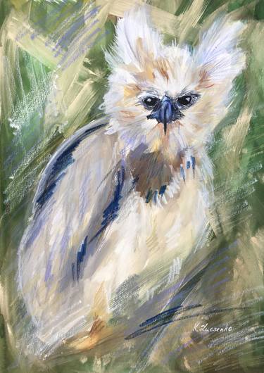 Baby Harpy - bird impressionism chicken nature expressive art thumb