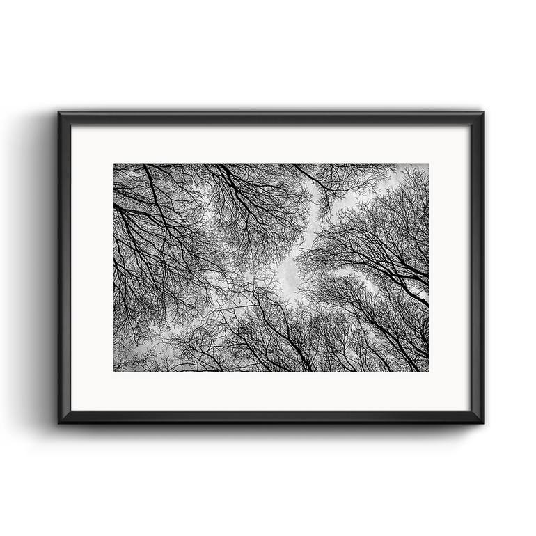 Original Conceptual Botanic Photography by Nadim Zeraïa