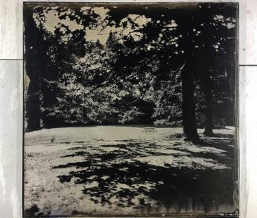 Original Wet Plate Collodion Photography On Clear Glass - Limited Edition of 1 thumb