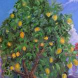 The lemon tree by Rosalind Roberts
