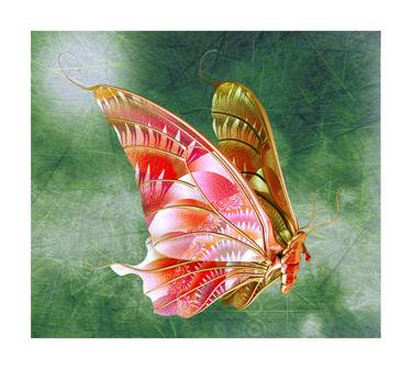 Butterfly VI - Limited Edition of 5 thumb