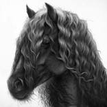 Snowstorm by Malena Marie