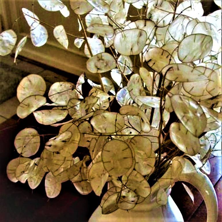 Original Other Botanic Photography by Paula Letherblaire