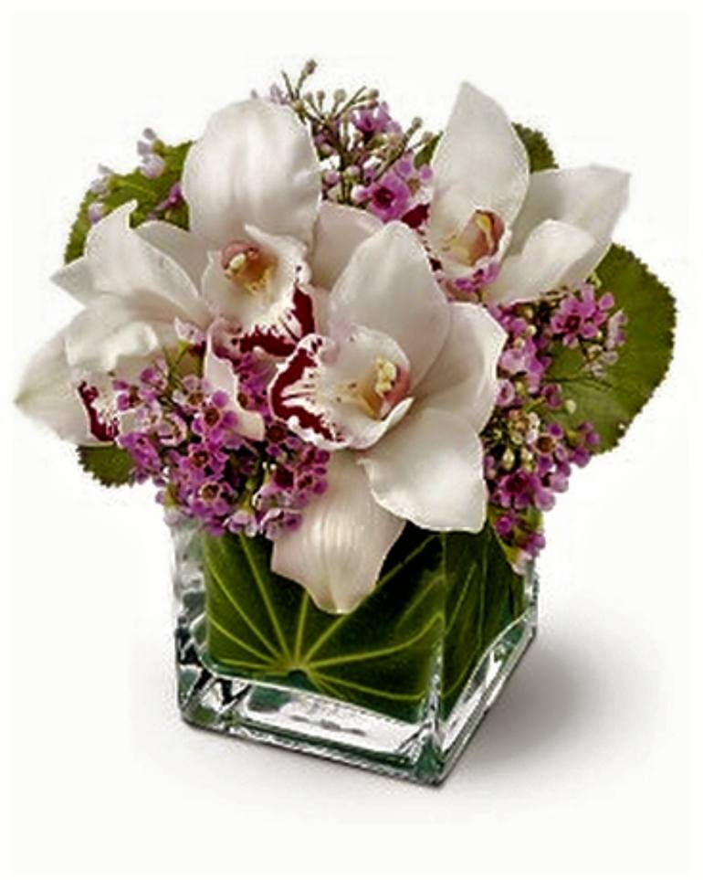 Original Other Botanic Photography by Paula Letherblaire