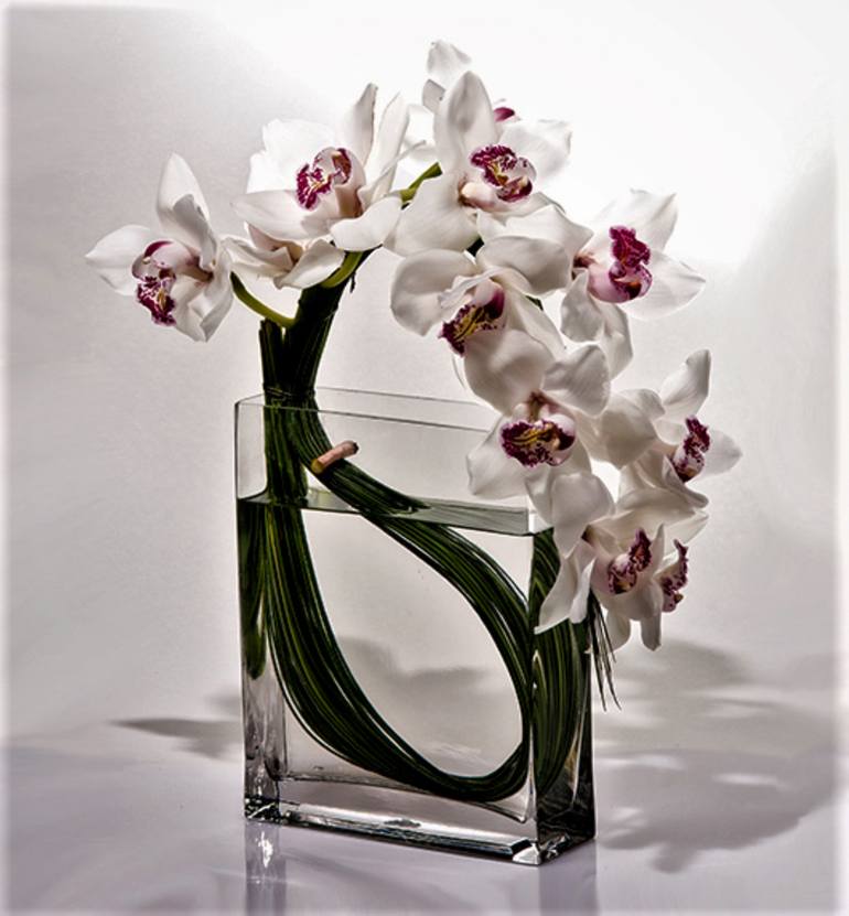 Original Other Botanic Photography by Paula Letherblaire