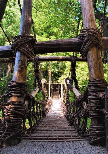 IYA VALLEY VINE BRIDGE, In Miyoshi, Japan - Limited Edition of 30 thumb