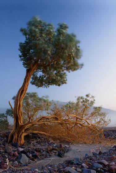 Print of Fine Art Landscape Photography by Eric Blackman