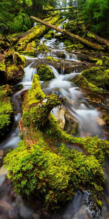 Print of Modern Landscape Photography by Eric Blackman