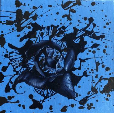 Black on Blue Rose thumb