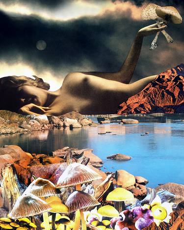 Original Conceptual Nature Collage by Lyndon Pike