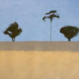 Three and a Half Trees by Lindon Thompson