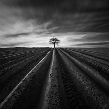 Saatchi Art Artist Tomas Tison; Photography, “The furrows - Limited edition of 15” #art