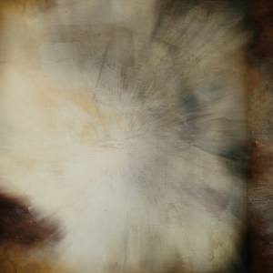 Collection Into the Woods V1