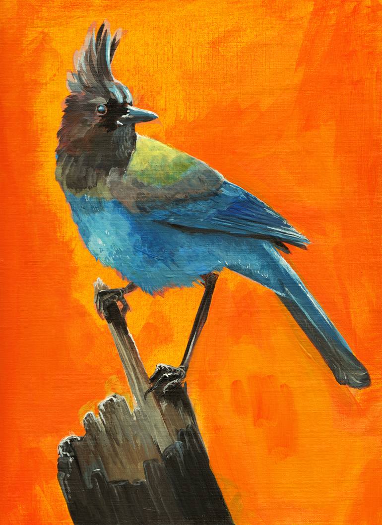 Steller s Jay Painting by Brett Jasch Saatchi Art