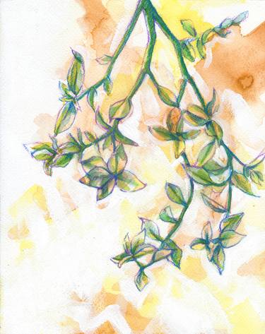 Print of Expressionism Botanic Paintings by Andrea Meyer