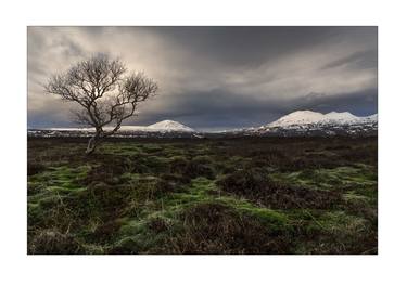 Original Fine Art Landscape Photography by Dave Wall