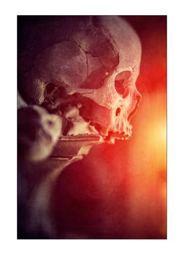 Original Fine Art Mortality Photography by Dave Wall