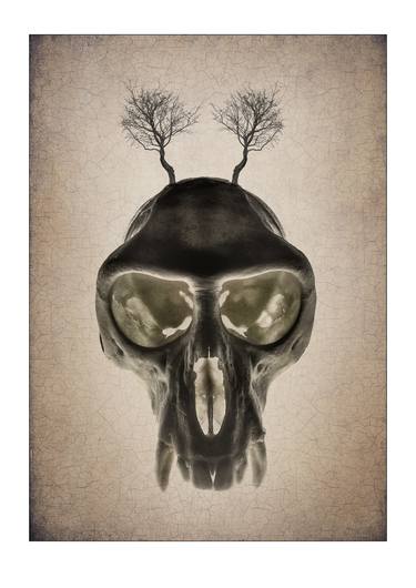 Original Conceptual Mortality Photography by Dave Wall