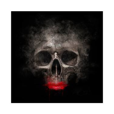 Original Fine Art Mortality Photography by Dave Wall