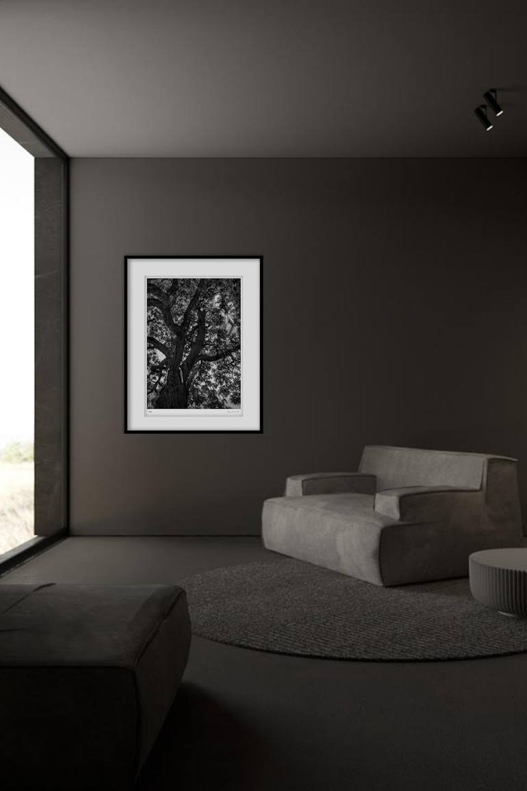 Original Fine Art Abstract Photography by Szymon Brodziak