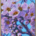 Bloesems by C Soete