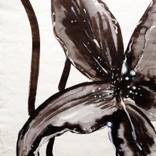 Lily by Philippa Mayo