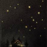 Starry night by Willy van den Berg