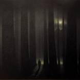 Magic Forest by Willy van den Berg