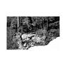 view additional image 1