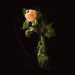Melancholia #67 by Fiona Henderson