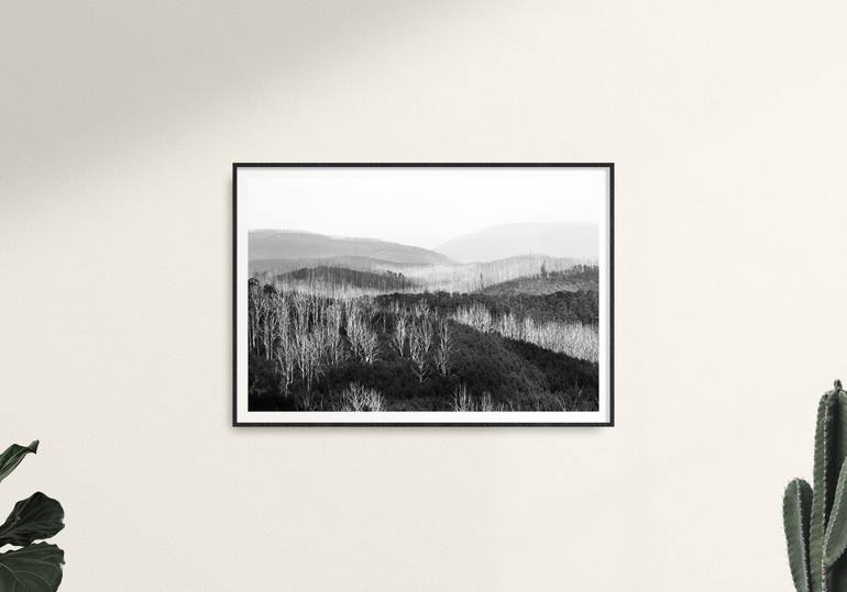 Original Documentary Landscape Photography by Evan Hancock