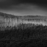 Keppel Creek, Victoria 2018 - Edition 2 - Limited Edition of 3 by Evan Hancock