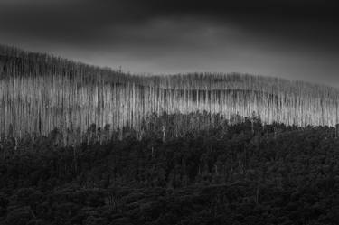 Keppel Creek, Victoria 2018 - Edition 2 - Limited Edition of 3 thumb