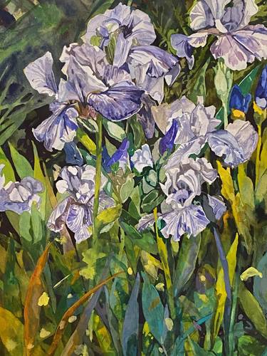 Original Realism Botanic Paintings by Diane Lucille Meyer