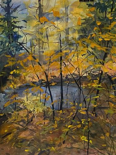 Original Fine Art Landscape Paintings by Diane Lucille Meyer