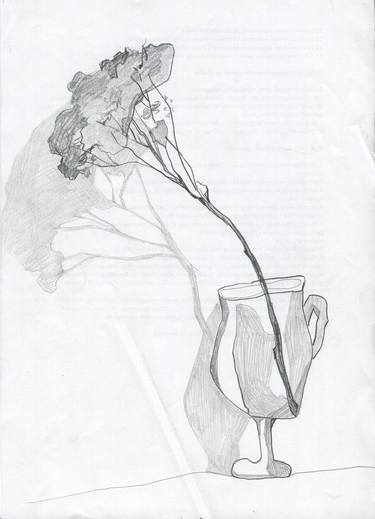 Print of Still Life Drawings by Karyna Synytsia