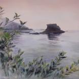 Bird facts- Cape Flattery by Emily Arthinia