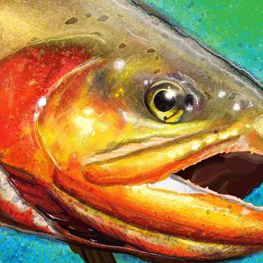 Golden Trout Head Painting - Limited Edition of 50 thumb