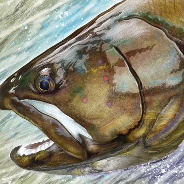 Bull Trout Head Painting - Limited Edition of 50 thumb