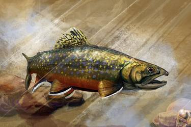 The Native Brook Trout - Limited Edition of 50 thumb