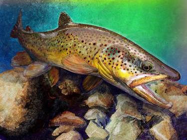 The Wild Brown Trout - Limited Edition of 100 thumb