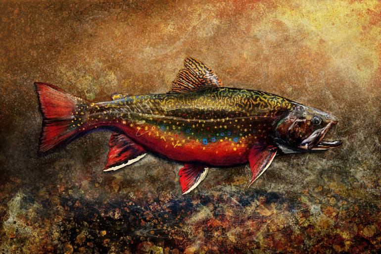  Brook Trout Wall Art Print, Modern Colorful Fly