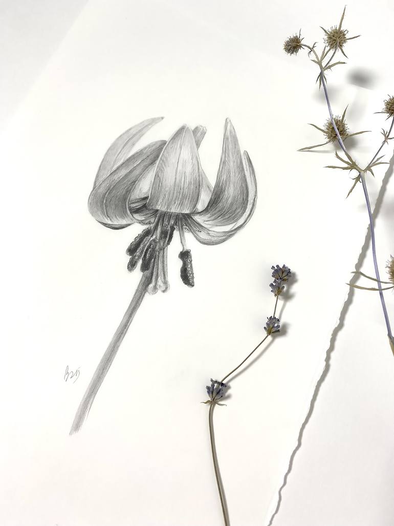 Original Photorealism Botanic Drawing by Viktoriia Kolesnykova