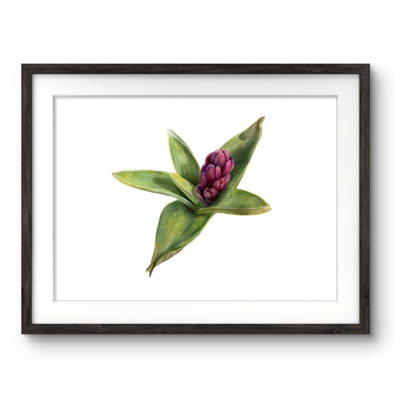 Original Photorealism Botanic Painting by Viktoriia Kolesnykova