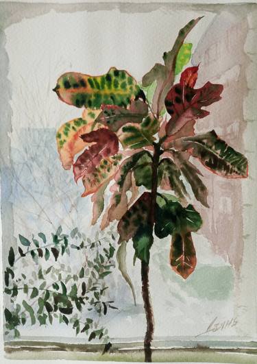 Original Fine Art Botanic Paintings by Tanya Dzekunova